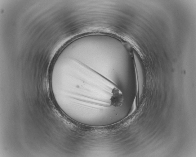 X0000070210888200606161639