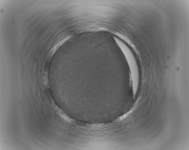 X0000070210889200606161639