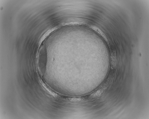 X0000070210890200606161639