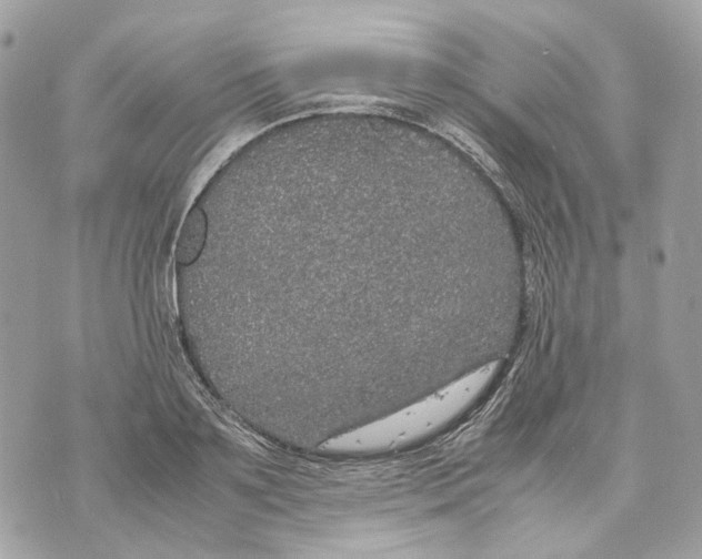 X0000070210891200606161639