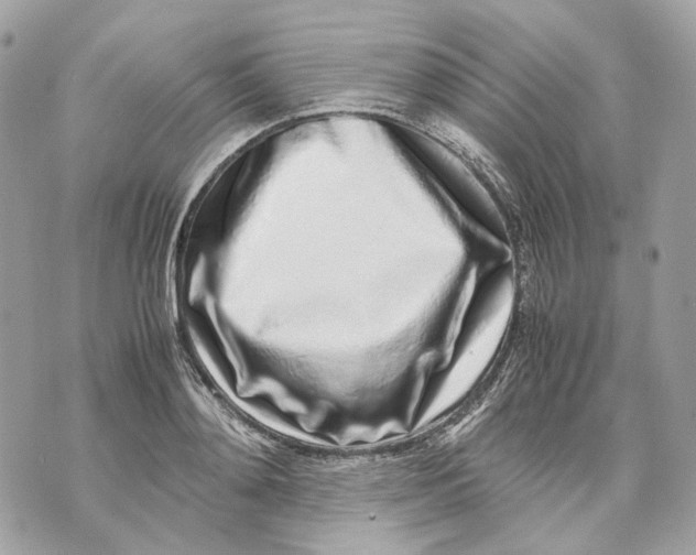 X0000070210892200606161639