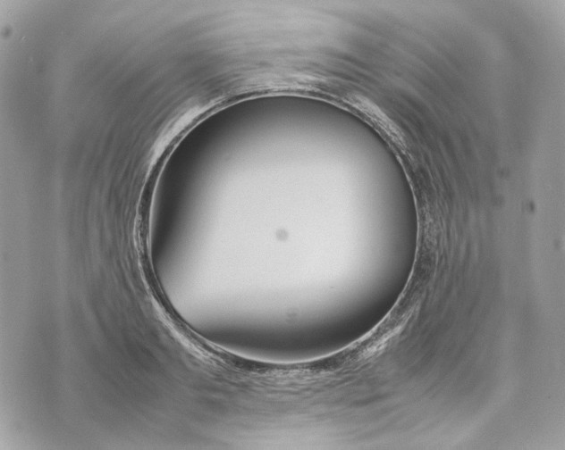 X0000070210893200606161639