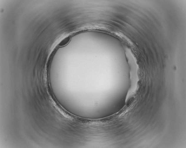 X0000070210894200606161638