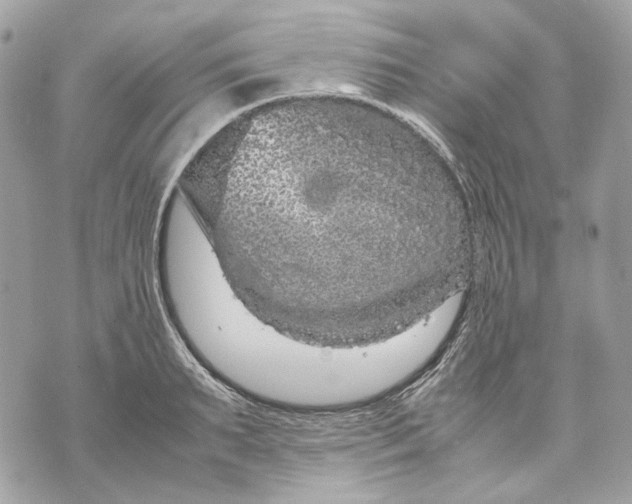 X0000070210895200606161638