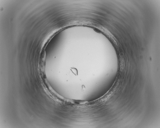 X0000070210896200606161638