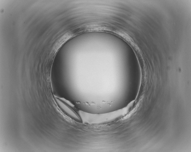 X0000070210897200606161638