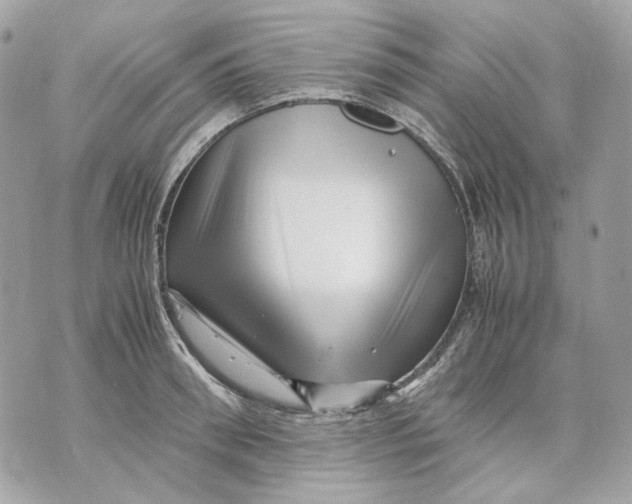 X0000070210898200606161638