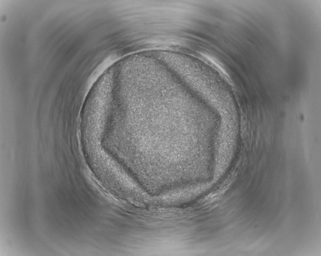 X0000070210899200606161638