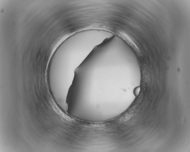 X0000070210900200606161638