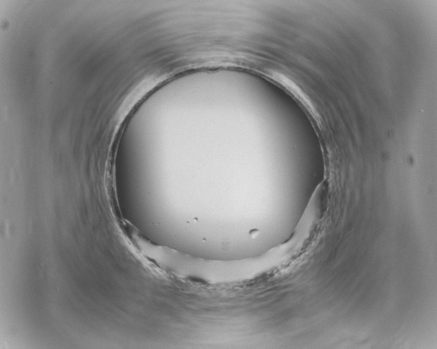 X0000070210901200606161638