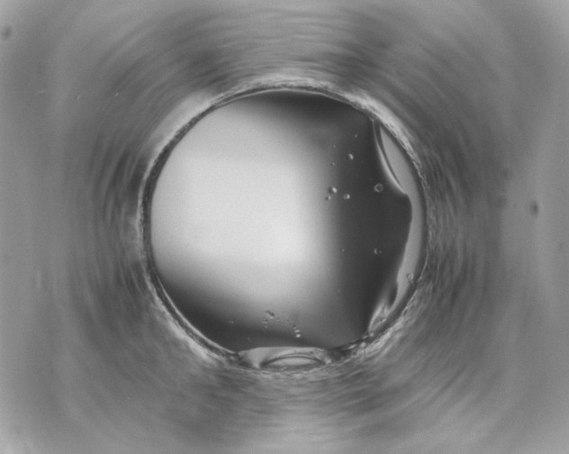 X0000070210902200606161638