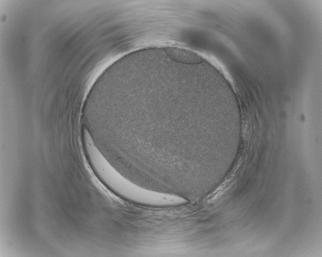 X0000070210903200606161638