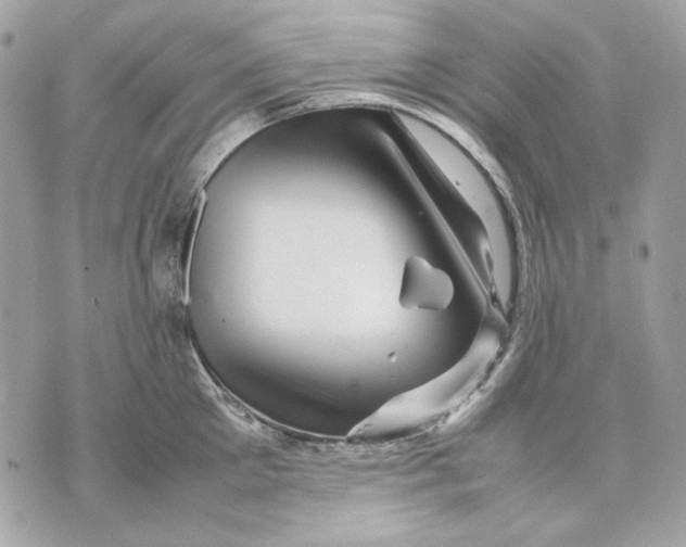 X0000070210905200606161638