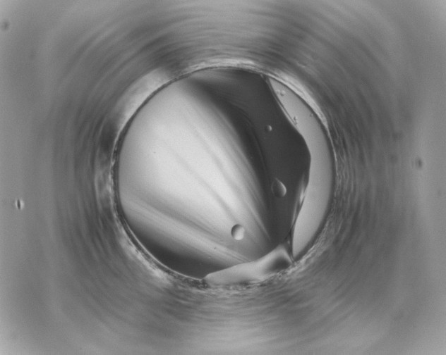 X0000070210906200606161638