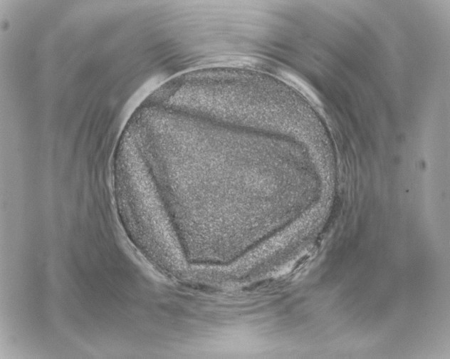 X0000070210907200606161638