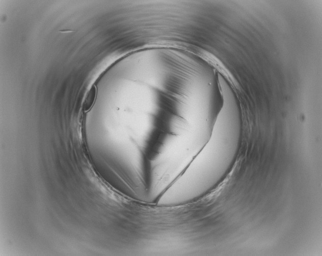 X0000070210908200606161638