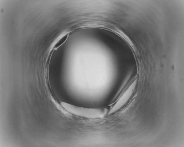 X0000070210909200606161638