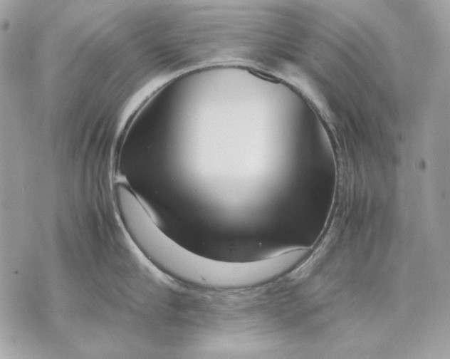 X0000070210910200606161638