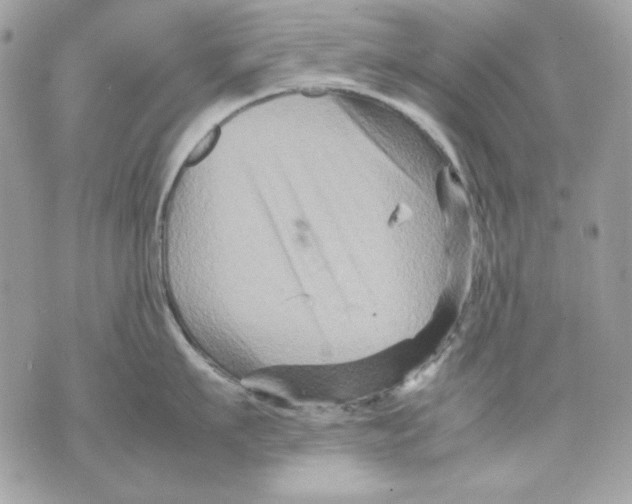 X0000070210911200606161638