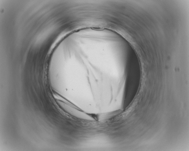 X0000070210912200606161638