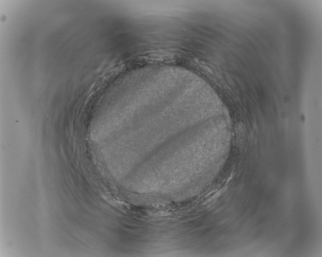 X0000070210913200606161637