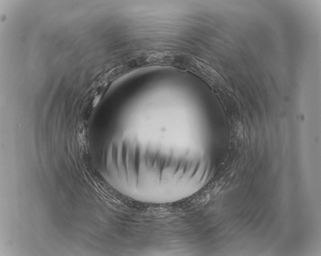 X0000070210914200606161637