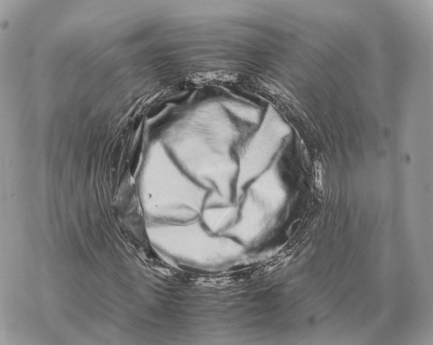 X0000070210915200606161637