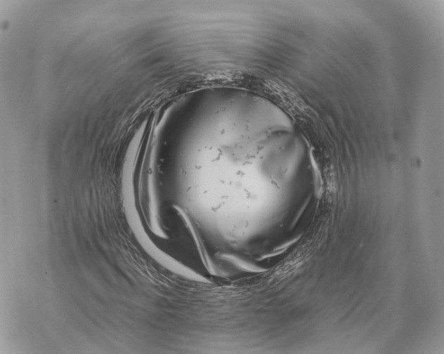 X0000070210916200606161637