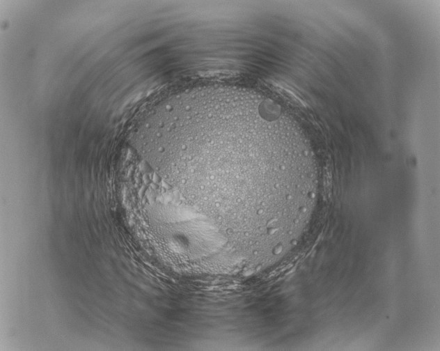 X0000070210917200606161637