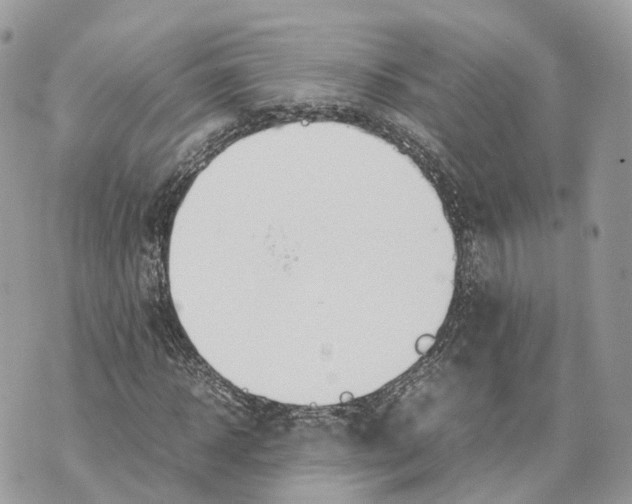 X0000070210918200606161638