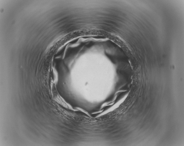 X0000070210919200606161638