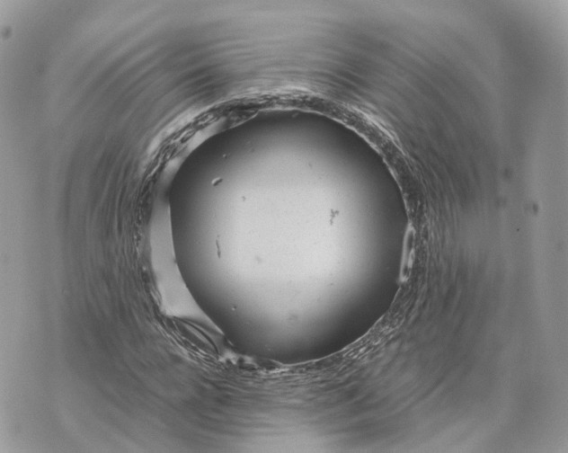 X0000070210920200606161638