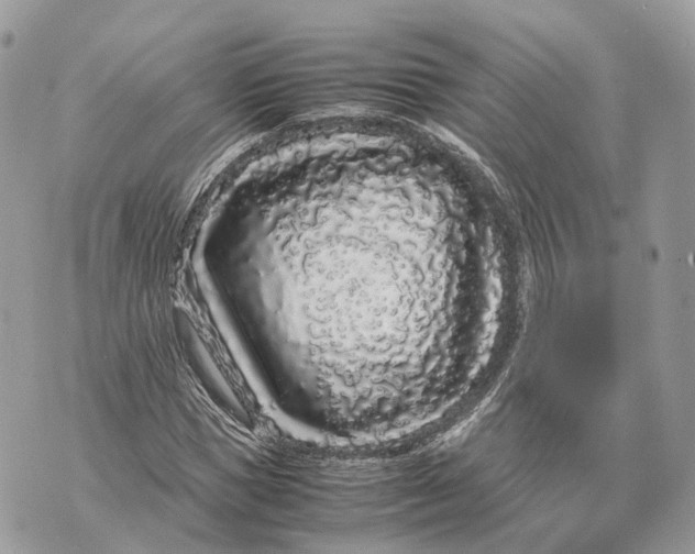 X0000070210921200606161638