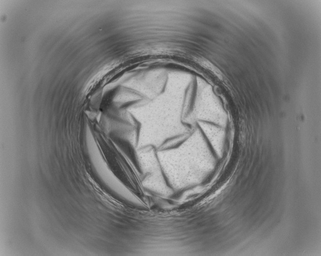 X0000070210922200606161638