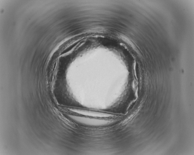 X0000070210923200606161638