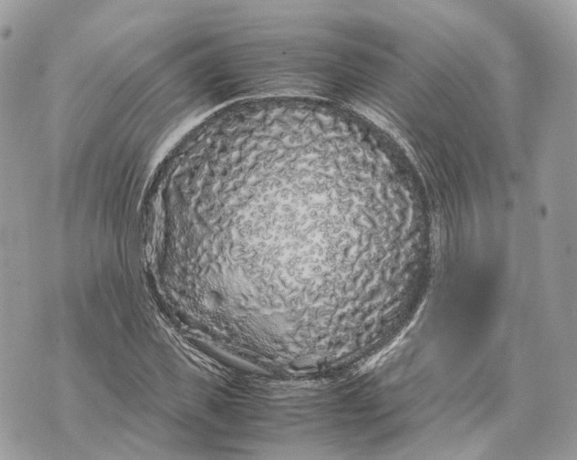 X0000070210925200606161638