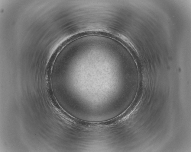 X0000070210926200606161638