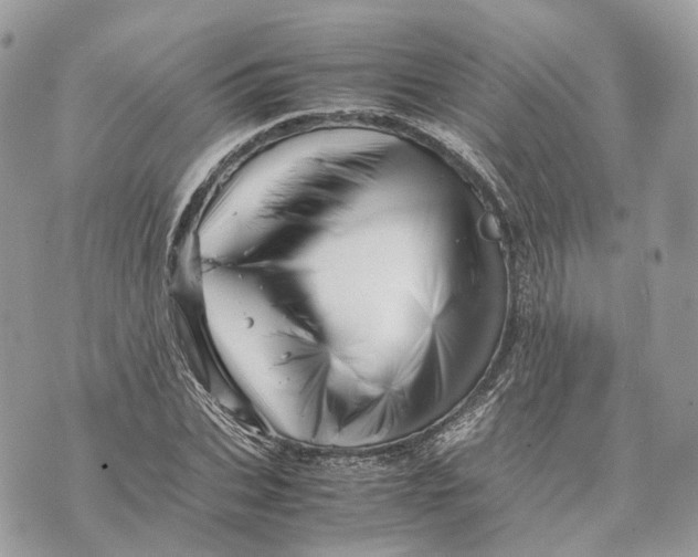 X0000070210927200606161638