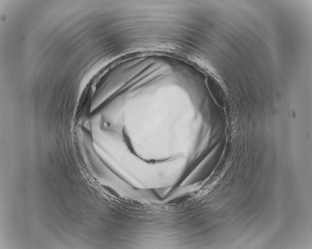 X0000070210928200606161638