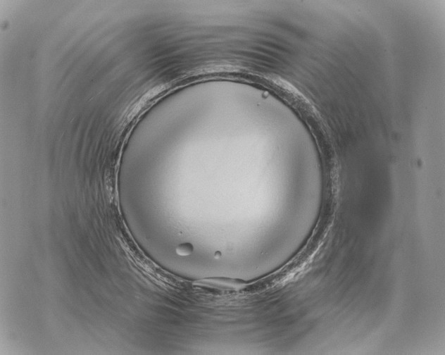 X0000070210929200606161638