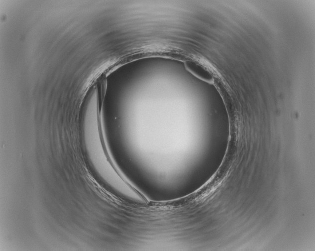 X0000070210930200606161638