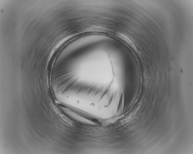 X0000070210931200606161638