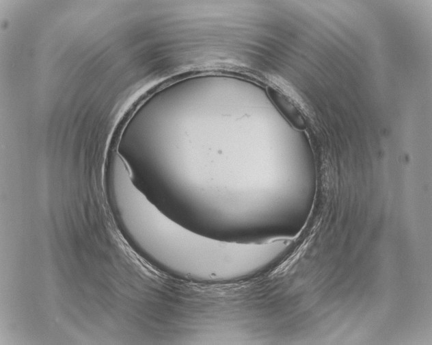 X0000070210932200606161638