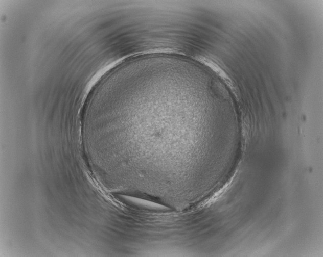 X0000070210933200606161638