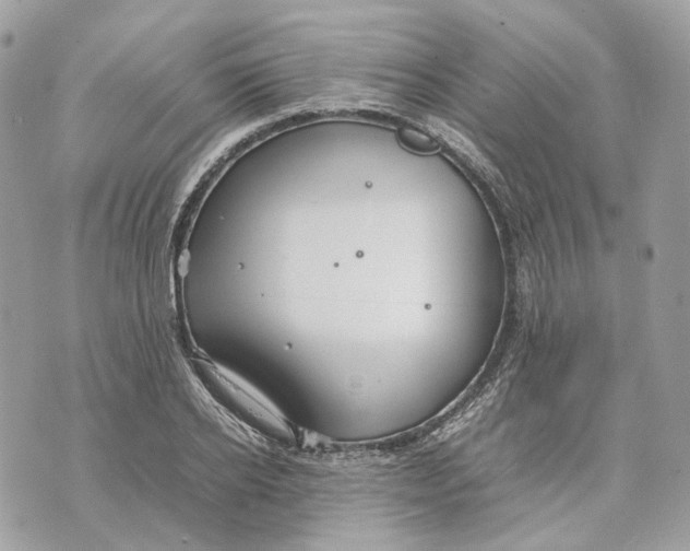 X0000070210934200606161638