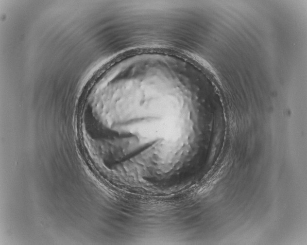 X0000070210935200606161638