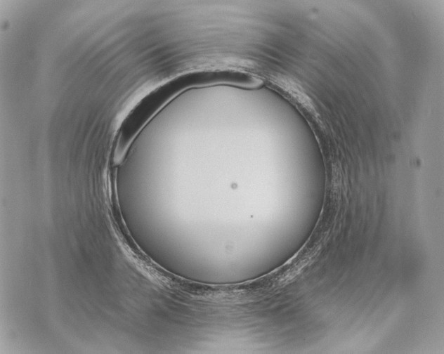 X0000070210936200606161638