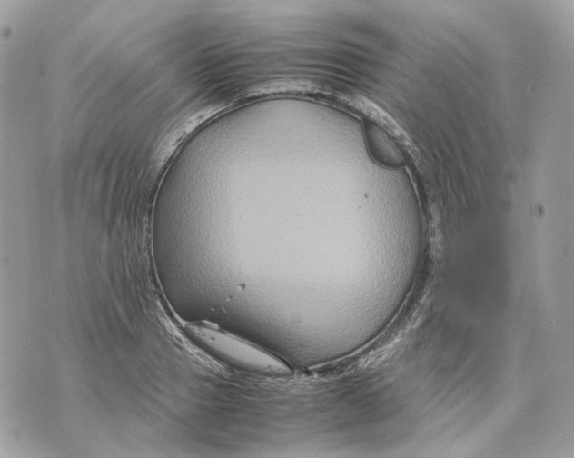 X0000070210937200606161638