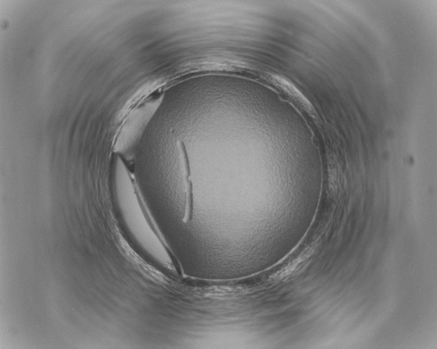 X0000070210938200606161638