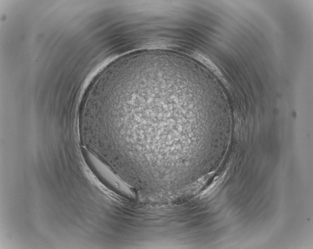 X0000070210939200606161638